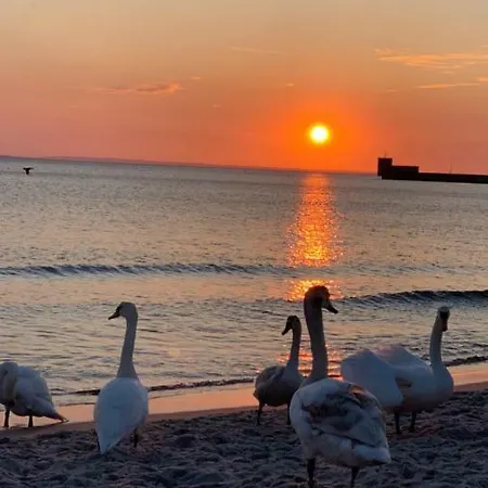 Апартаменты Wave In *