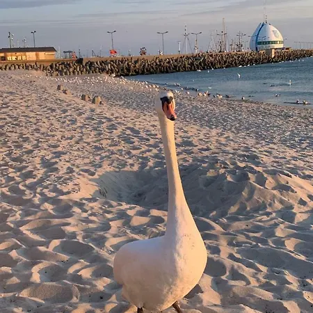 Апартаменты Wave In Хель