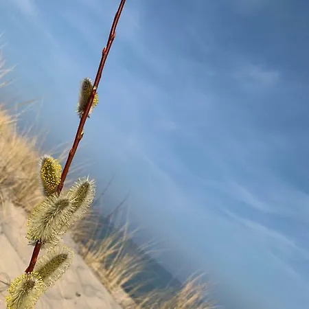 Апартаменты Wave In