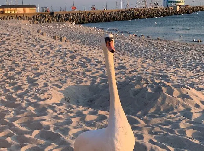 شقة Wave In هيل